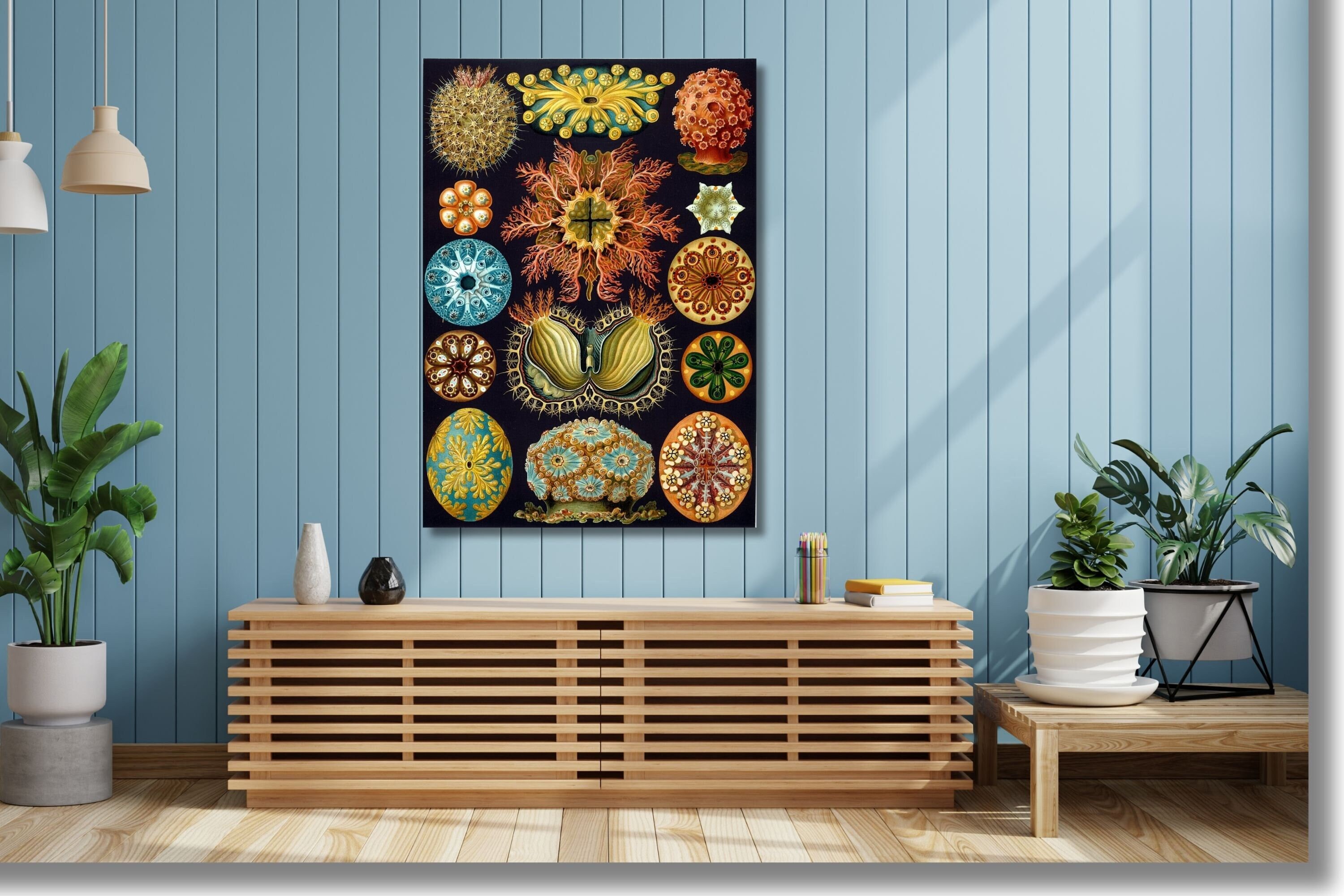 Ernst Haeckel Sea Squirts Poster Reproduction - Nautical Wall Art and Marine Biology Canvas for Vintage and Unique Home Decor,Haeckel Print