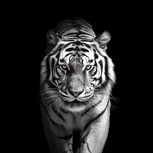Bengal Tiger frontal black and white, Digital Canvas, Digital Wall Art, Downloadable Print, AI, Instant Download, Printable Art