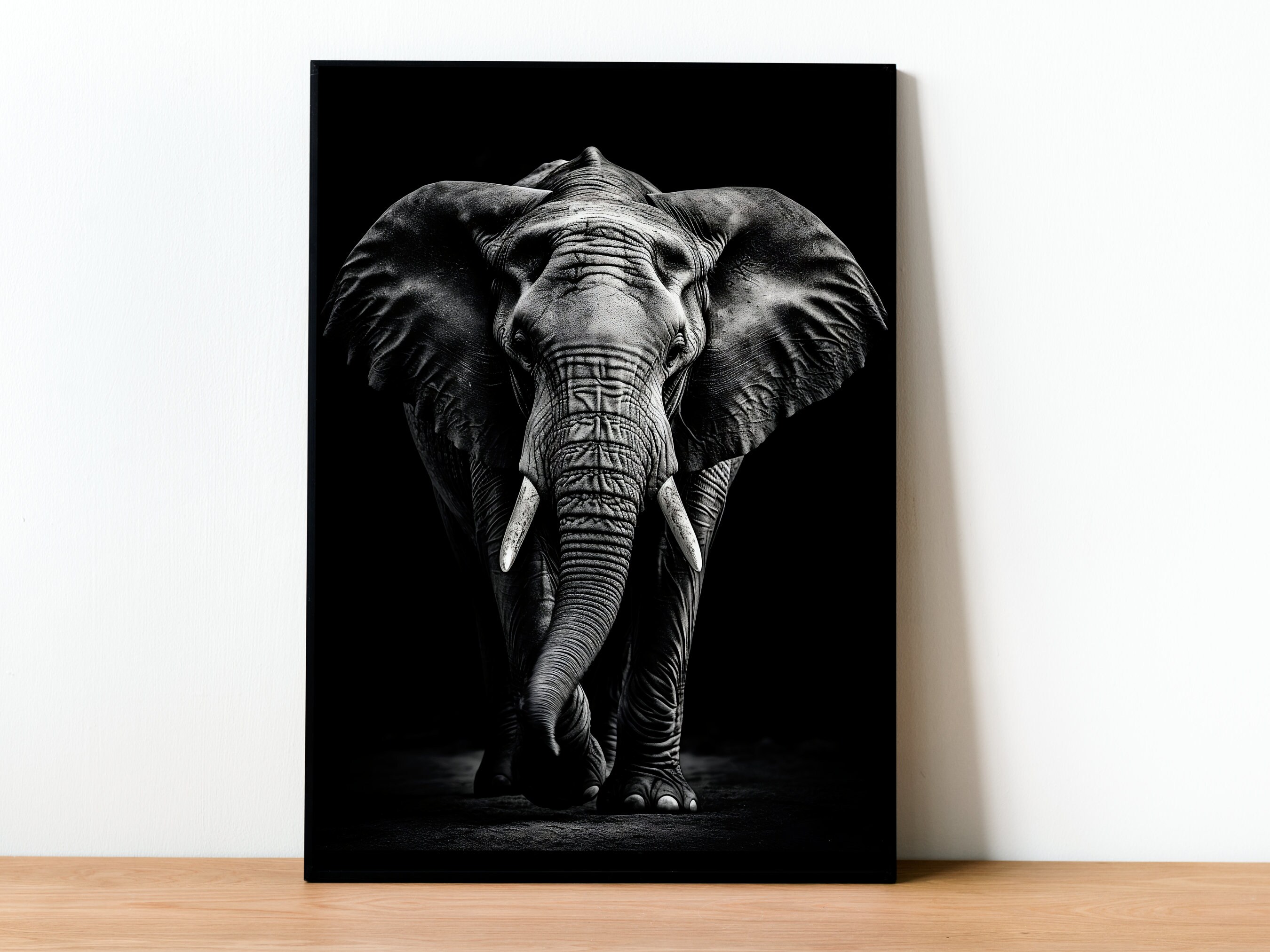 Elephant Frontal Black and White, Big 5, Africa, Digital
