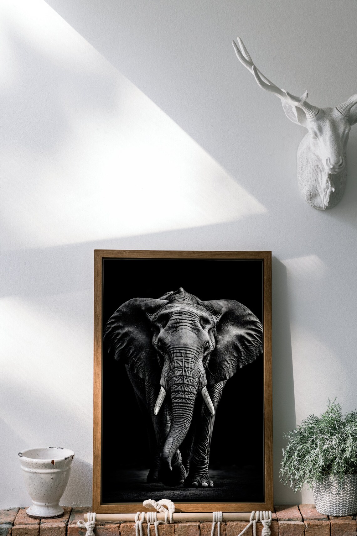 Elephant Frontal Black and White, Big 5, Africa, Digital Canvas ...