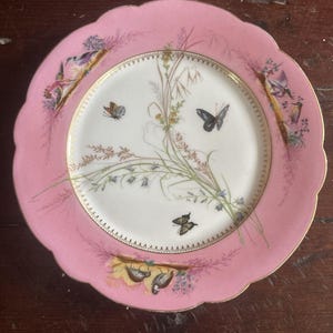 Könnte beinhalten: Ein rosa Porzellanteller mit gewelltem Rand. Der Teller hat eine weiße Mitte mit einem goldenen Rand und zarten Illustrationen von Schmetterlingen, Vögeln und floralen Elementen. Der äußere Rand ist einfarbig rosa.