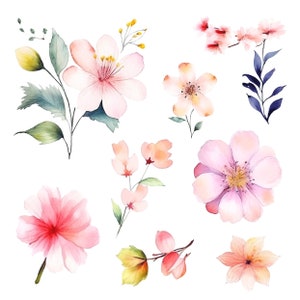 8 hermosas flores de verano - imágenes prediseñadas de acuarela de flor de cerezo - PNG de alta calidad, descarga digital