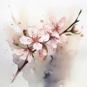 Premium Japanese Sakura - Cherry Blossom Watercolor Clipart - 8 High Quality JPGs, Digital Download