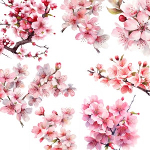 Coleção de Sakura Japonesa - Clipart Aquarela em Flor de Cerejeira - 8 PNGs de alta qualidade, download digital