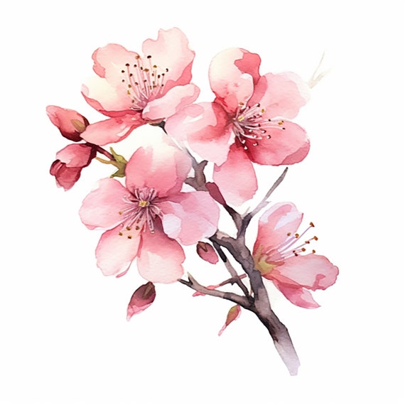 ♪SAKURA♪ Sakura Pc 🌸🌸🌸 7800X3D + 7800XT (Sakura Version) | Jawa