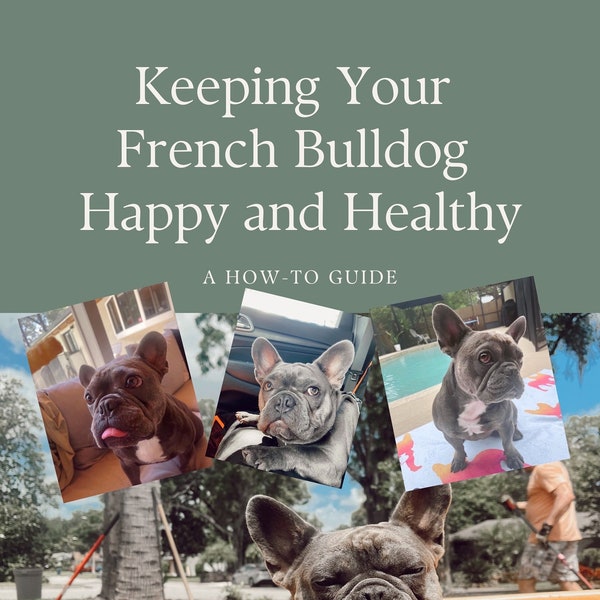 French Bulldog Health Guide: Keeping Your French Bulldog Happy and Healthy Ebook French Bulldog Gift for Dog Mom Ebook Frenchie Bulldog Book