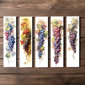 Peut inclure: Cinq aquarelles de raisins suspendus à des vignes. Chaque peinture présente une couleur de raisin différente, notamment rouge, violet et vert.