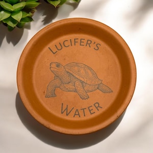 May include: A circular, terracotta-coloured plant saucer featuring the text "Lucifer's Water" and a detailed illustration of a turtle. The text and turtle are dark brown, contrasting with the saucer's earthy tone.