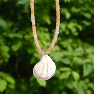 May include: A necklace featuring a strand of small, light orange beads. A white and tan seashell pendant hangs from the necklace. The background is a blurred view of green foliage.