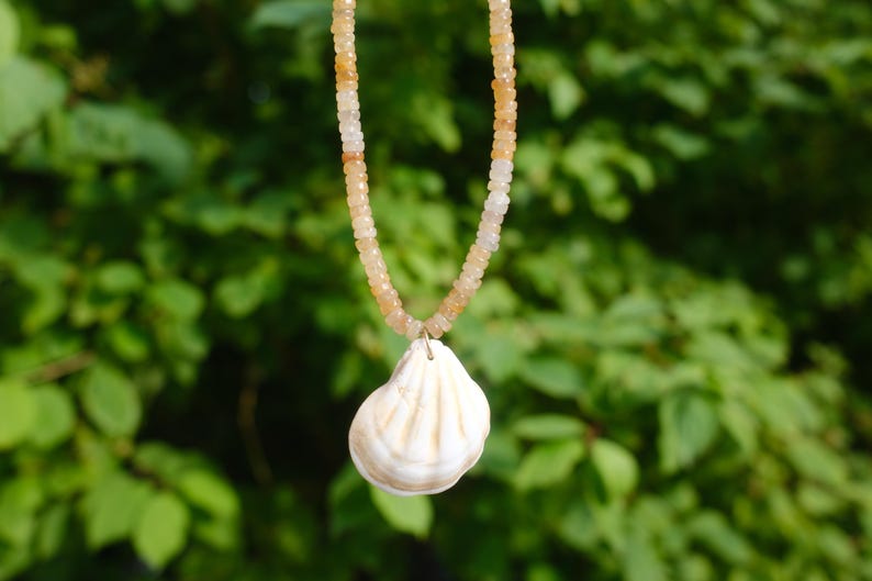 May include: A necklace featuring a strand of small, light orange beads. A white and tan seashell pendant hangs from the necklace. The background is a blurred view of green foliage.