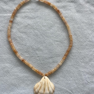 May include: A necklace featuring a shell pendant. The necklace has a strand of small, light brown beads. The pendant is a cream-colored shell with brown stripes. The necklace is on a light blue background.