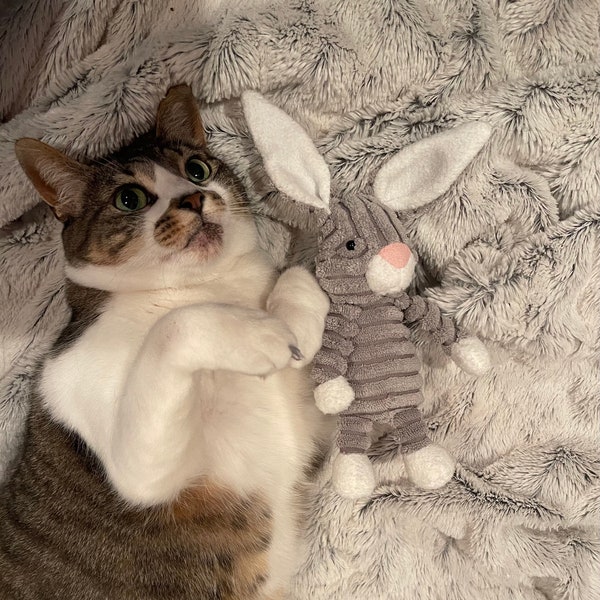 Cat toy bunny catnip toy