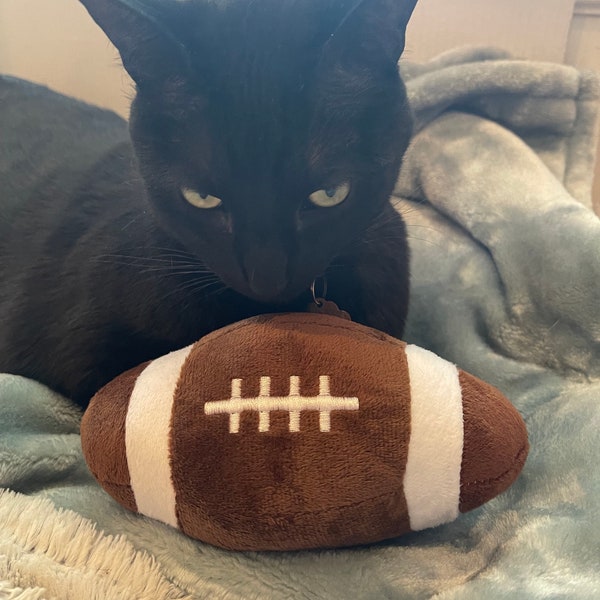 Cat kicker football catnip toy