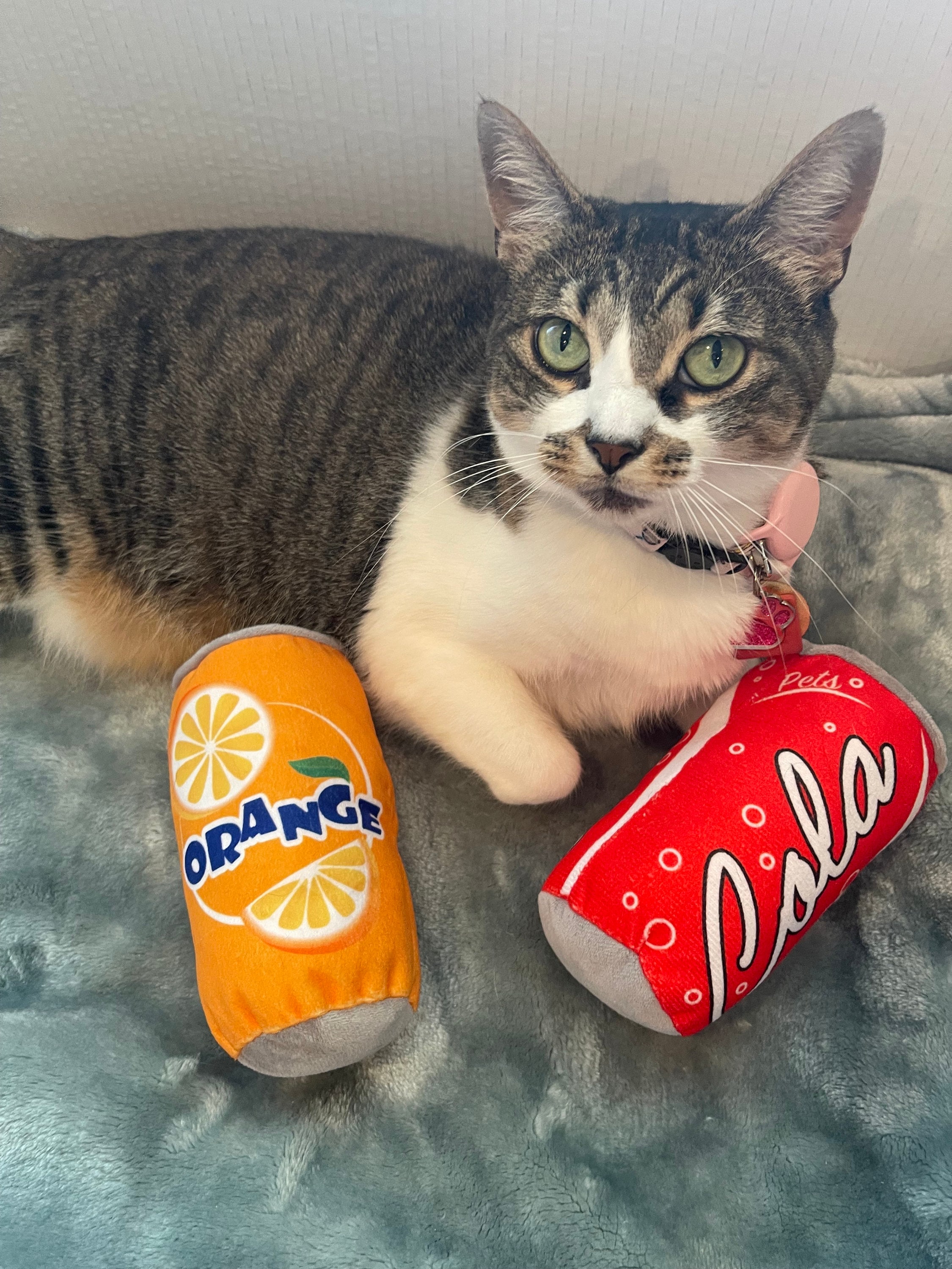 Pepsi plush - Etsy 日本