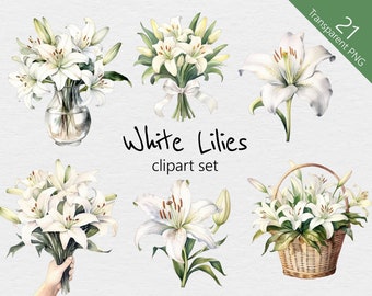 Lys blancs aquarelle Clip Art - 21 dessins - PNG transparent - utilisation commerciale - lys, floral, fleur, fleurs, bouquet, vase, aquarelle
