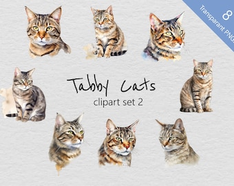 Tabby Cats Aquarelle Clip Art Set 2 - Ensemble de 8 dessins - PNG transparents - Téléchargement instantané - Parfait pour les projets créatifs