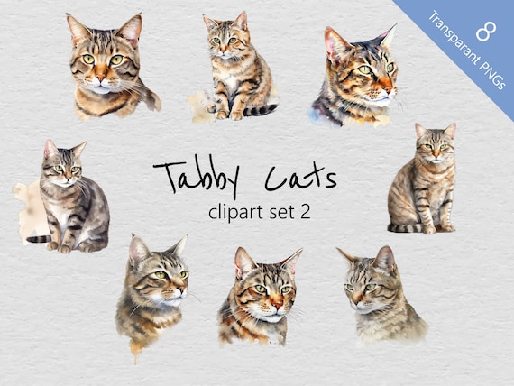 Tabby Cat Solitaire