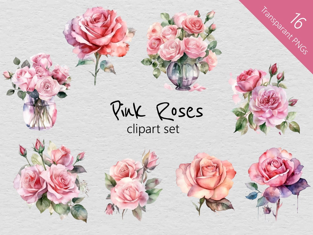 Pink Roses Watercolour Clip Art Set of 16 Designs Transparent Pngs