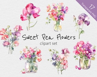 Sweet Pea Aquarelle Clip Art - 17 Designs - PNG Transparent - Utilisation commerciale - Aquarelle, Rose, Violet, Floral, Fleurs, Bouquet, Vase