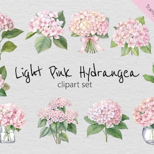 May include: A set of 10 watercolor illustrations of light pink hydrangeas in various arrangements. The hydrangeas are depicted in a bouquet, in a vase, and as individual blooms. The illustrations are perfect for adding a touch of elegance to any project.