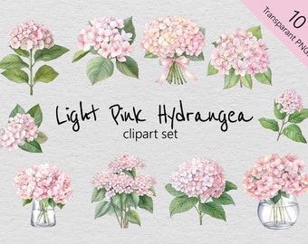Rose clair hortensia aquarelle Clip Art - ensemble de 10 dessins - PNG transparents - téléchargement immédiat - parfait pour les projets créatifs