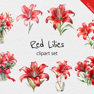 Clipart de aquarela de lírios vermelhos - 18 designs - PNG transparente - Uso comercial - lírio, floral, flores, buquê, aquarela