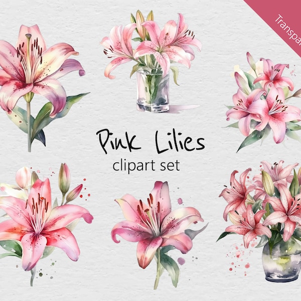 Pink Lilies Watercolour Clip Art - 13 Designs - Transparent PNG - Instant Download - Commercial Use - lily, floral, flower, flowers, bouquet