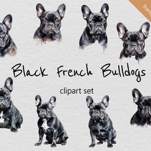 Clipart de aquarela de buldogue francês preto - conjunto de 8 designs - PNGs transparentes - download instantâneo - perfeito para projetos criativos