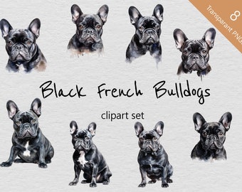 Bouledogue français noir aquarelle Clip Art - ensemble de 8 dessins - PNG transparents - téléchargement immédiat - parfait pour les projets créatifs