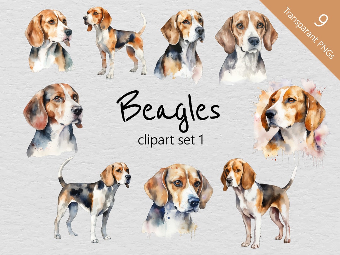 Beagle Watercolour Clip Art Set 1 Set of 9 Designs Transparent Pngs ...