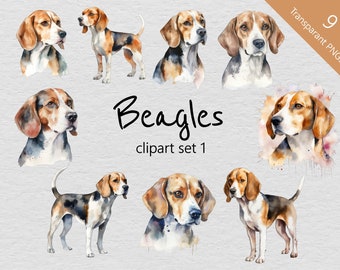 Beagle Aquarelle Clip Art Set 1 - Ensemble de 9 Designs - PNG Transparents - Téléchargement instantané - Parfait pour les projets créatifs