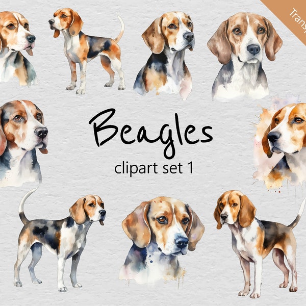 Beagle Watercolour Clip Art Set 1 - Set of 9 Designs - Transparent PNGs - Instant Download - Perfect for Creative Projects