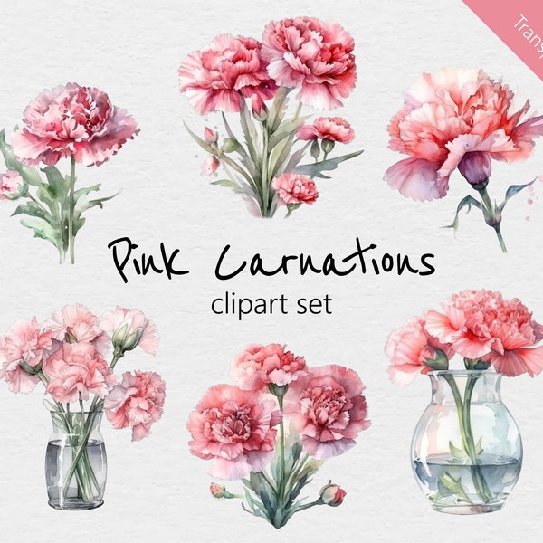 Pink Carnation Watercolour Clip Art - 18 Designs - Transparent PNG - Commercial Use - Watercolor, Pink, Floral, Flowers, Bouquet, Vase