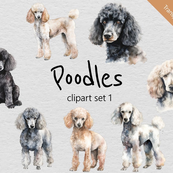 Poodles Watercolour Clip Art Set 1  - Set of 7 Designs - Transparent PNGs - Instant Download - Perfect for Creative Projects