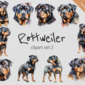Rottweiler Watercolour Clip Art Set 2 - Set of 10 Designs - Transparent PNGs - Instant Download - Perfect for Creative Projects