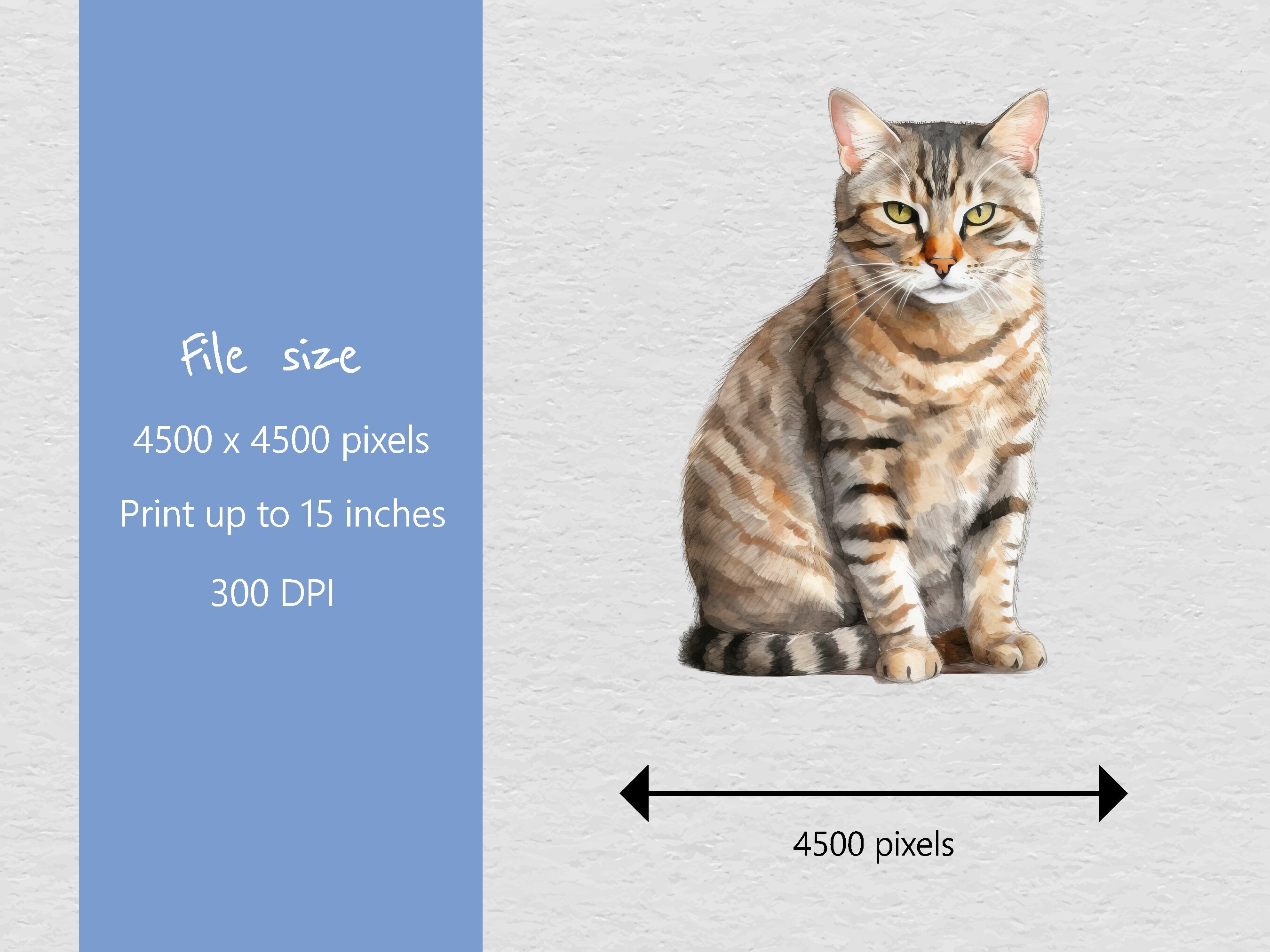 Tabby Cats Watercolour Clip Art Set 2 - Set of 8 Designs
