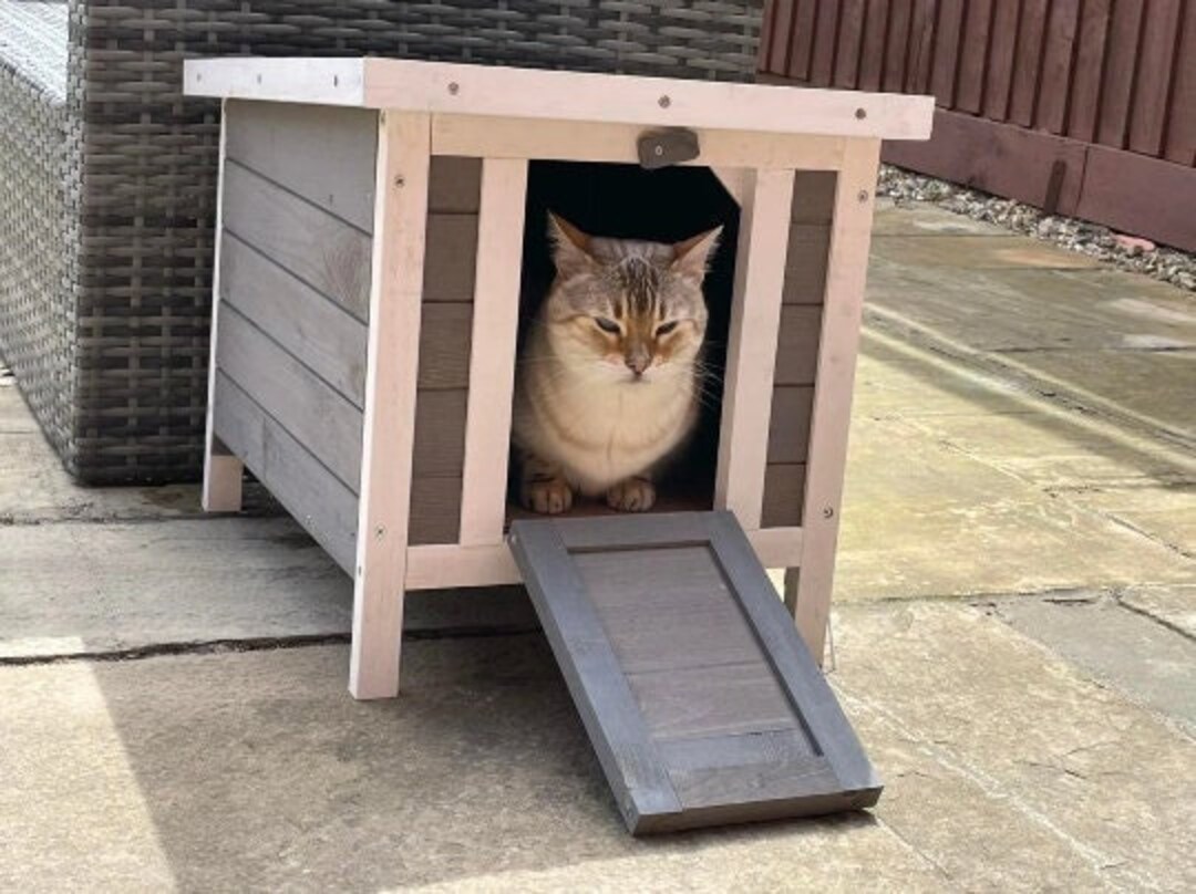 Grey Outdoor Cat Kennel Outside Cat House Shelter Rabbit Etsy UK