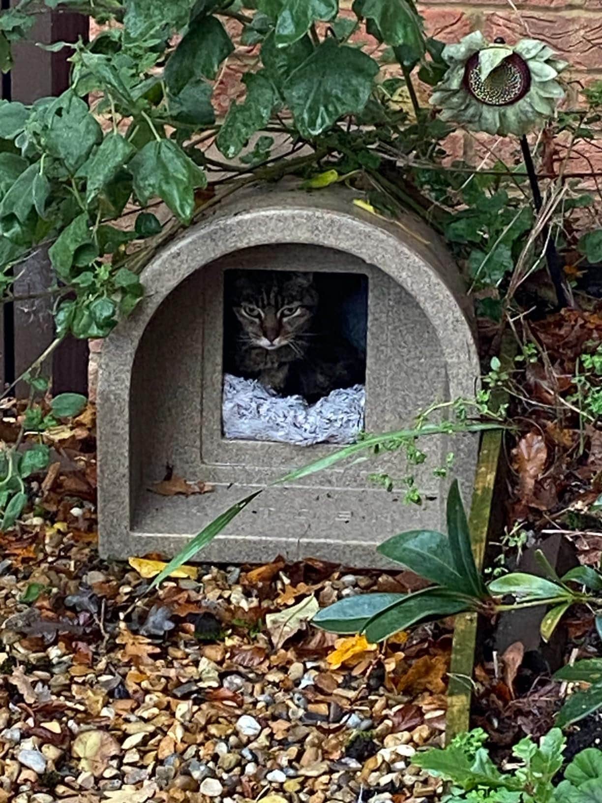Plastic Outdoor Waterproof Cat House Plastic Cat Shelter Etsy UK