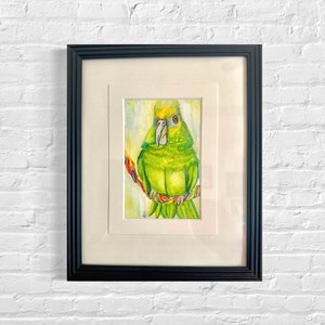 Green Parrot watercolor painting, original framed