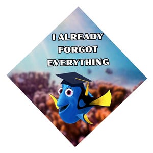 Graduation Cap Topper Dory - Etsy