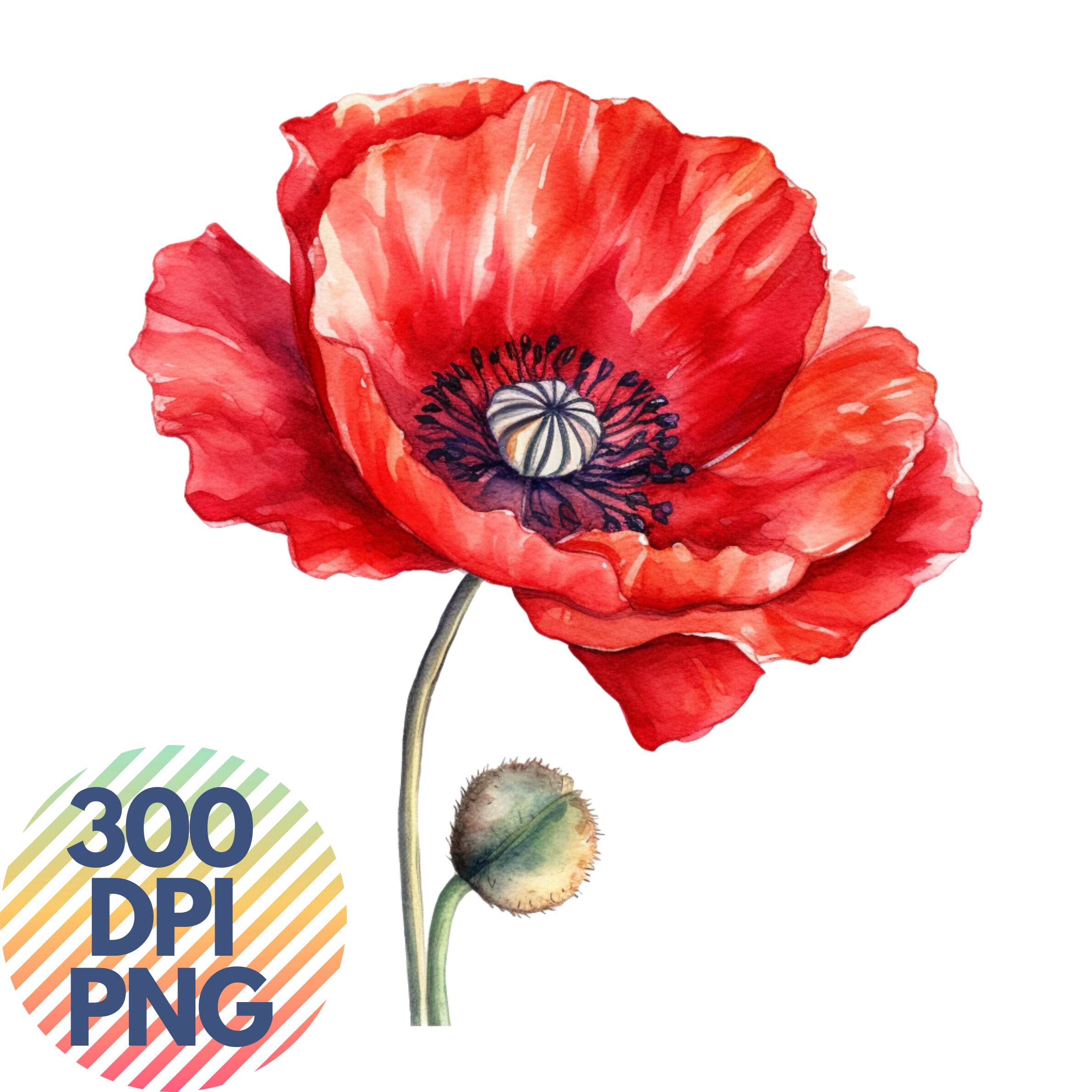 Memorial Day Watercolor Clipart Bundle Transparent Background PNG ...