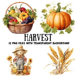 Harvest Watercolor Clipart Bundle Autumn PNG Instant Download Fall Harvest Art Commercial Use Clipart Transparent Background PNG Bundle