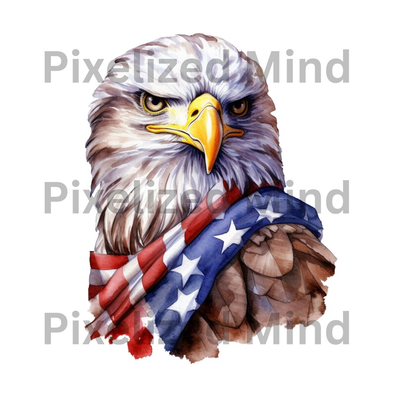 Memorial Day Watercolor Clipart Bundle Transparent Background PNG ...