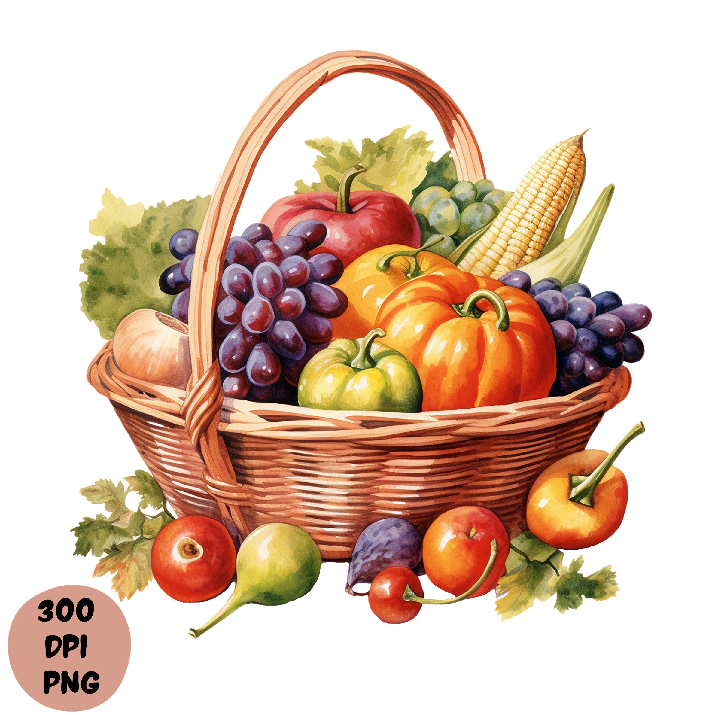 Harvest Watercolor Clipart Bundle Autumn PNG Instant Download Fall ...