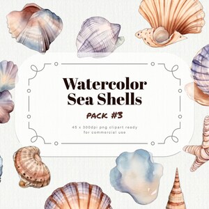 Acuarela Sea Shells Clipart pack #3 - conchas marinas de ensueño en formato PNG a 300dpi, descarga instantánea para uso comercial