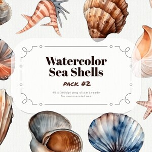 Acuarela Sea Shells Clipart pack #2 - conchas marinas de ensueño en formato PNG a 300dpi, descarga instantánea para uso comercial
