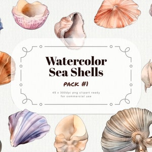 Acuarela Sea Shells Clipart pack #1 - conchas marinas de ensueño en formato PNG a 300dpi, descarga instantánea para uso comercial