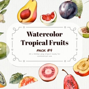 Acuarela Tropical Fruit Clipart pack #4 - jugosa fruta tropical en formato PNG a 300dpi, descarga instantánea para uso comercial