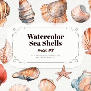 Acuarela Sea Shells Clipart pack #5 - conchas marinas de ensueño en formato PNG a 300dpi, descarga instantánea para uso comercial