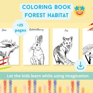 Coloring Papers Color Book Printable For Kids. Kids Coloring Book Download.Forest Animals Drawing Coloring Papers For Kids. Learn Animals